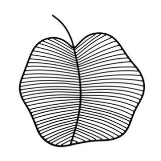 Apple Wall Decor