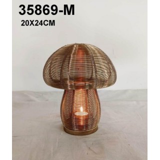 35869-M