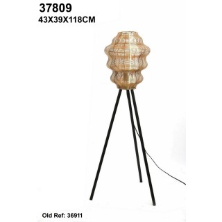 37809